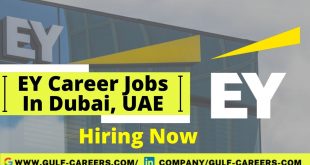  EY Career Jobs In Dubai