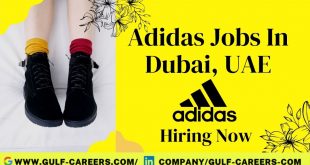 Adidas Careers
