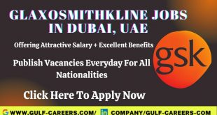 GSK Career Jobs In Dubai